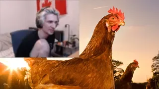 xqc defines species