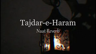 Tajdar-e-Haram | Atif Aslam (Slowed + Reverb)