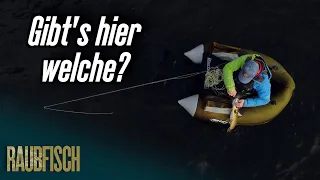 Wir suchen diesen vergessenen See nach Hechten ab!