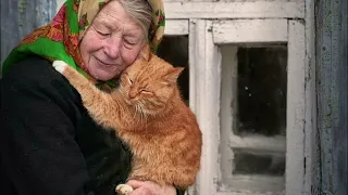 Душевное и Трогательное Стихотворение до Слёз! Про Бабушку и Кота!