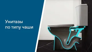 Унитазы по типу чаши