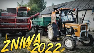 Żniwa Pszenżyta 2022 cz.2/2 ☆ Odwóz & Szykowanie Pod Pszenice  ✔ VLOG#2 MafiaSolec