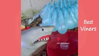 Try Not To Laugh or Grin - Funny Shark Puppet Videos 2019