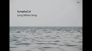 SymphoCat - Long Whale Song