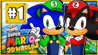 Sonic & Shadow Play Super Mario 3D World PART 1 - FURRY MARIO!?