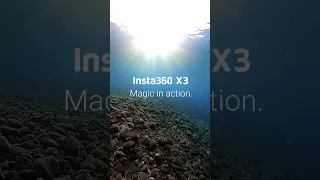 INSTA360 X3 ! Shoot First, Frame Later