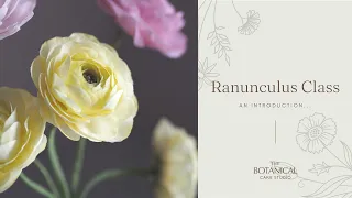 An introduction to the Ranunculus sugar flower class
