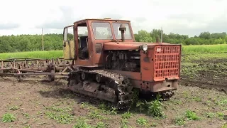 Трактор Т 4А, Алтаец на культивации поля.