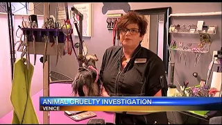 Outrage after undercover dog grooming video surfaces