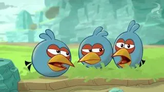 Angry Birds Toons episodes 1,2,3,4 FULL