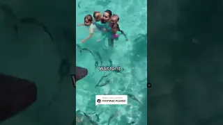 A little girl got bitten by a shark