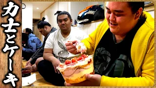 [Sumo food] Large amount / Sukiyaki, Japchae, Egg white fried rice, Tiramisu