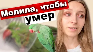 1 год после смерти Лакки ❌ Как пережить потерю любимца 🦜 Домашнего животного попугая