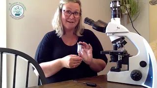 What Microscope Should I Buy?