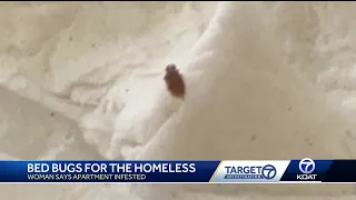 Woman claims bed bugs were found in Albuquerque apartment
