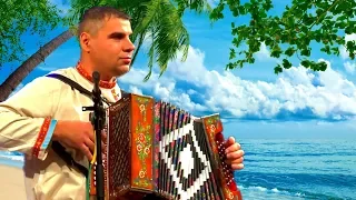 Цыганочка!  ☀️Очень красивые цыганские переходы на гармони!╰❥ Tsyganochka at the accordion! ☀️