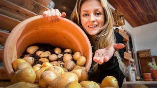 🥔 Kartoffeln im Kübel pflanzen: 3 Tipps für eine enorme Ernte