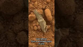 Plastic Found on Mars by Mars Rover