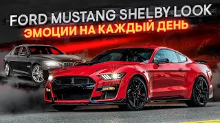 Ford Mustang Shelby (нет)