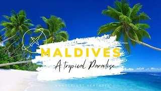 Magical Maldives: A Tropical Paradise