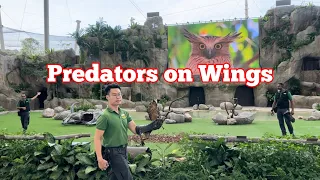 Predators on Wings @ Mandai’s Bird Paradise | Singapore’s New Bird Park