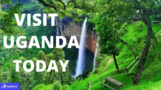 5 Reasons Why You Absolutely Need To Visit Uganda