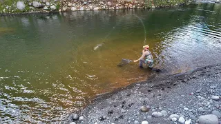 Unlocking the Best Fly Fishing Spots: The Search for Stunning Brown Trout!