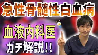 【病態生理の徹底解説】急性骨髄性白血病ってどんな病気？治療はどんな流れ？