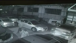 Thieves steal cars from Detroit dealership