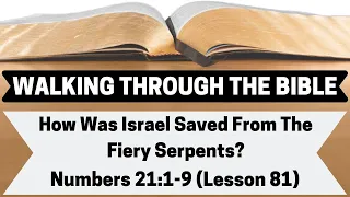 How Was Israel Saved From the Fiery Serpents? [Numbers 21:1-9][Lesson 81][WTTB]