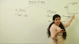 absorption of water active & passive ICSE l SECTION B l CLASS 12 BIOLOGY l ABSORPTION OF WATER l L85