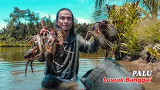 ALHAMDULILLAH .., Crab Catch Action | Many Large-Size Catches