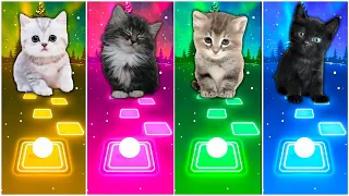 CUTE CATS - IMAGINE DRAGONS BONES VS DANCE MONKEY VS WAKA WAKA VS BABY SHARK TILES HOP