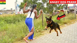 😂😂😂She Ran Helter-Skelter! Angry Dog Prank.