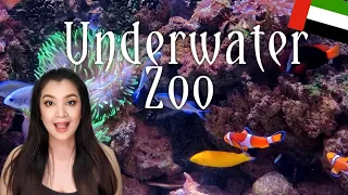 DUBAI AQUARIUM AND UNDERWATER ZOO | BLUEWATERS ISLAND | DUBAI MALL