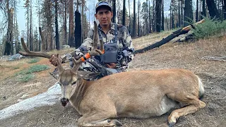 Big California Mule Deer Down - D Zone