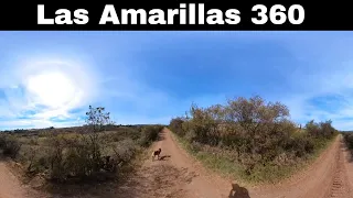 Las Amarillas 360 | Episodio #2