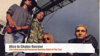 Alice In Chains~Rooster (Lolla Opening Night 1993)