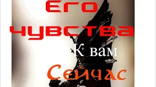 ЕГО ЧУВСТВА К ВАМ СЕЙЧАС. ТАРО