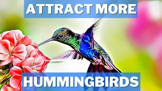 5 Plants To Attract Hummingbirds! | How To Attract Hummingbirds To Your Garden | Hummingbird Plants