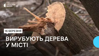 У Верхньодніпровську місцеві протестують проти вирубки дерев
