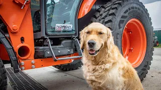 Shop Dog Approved! Kubota L6060 NORDIK SPECIAL EDITION!