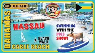 Cable Beach Nassau Bahamas 🇧🇸 (Swimming with the Pigs!) 4k Walking Tour / Beach Walk & Review