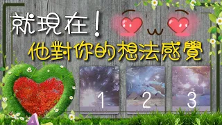 🔮就現在！他對你的想法和感覺是什麼💕？他目前的狀態如何？💕你們這段感情會如何發展？💕|塔羅占卜|戀愛|愛情運勢|桃花運|曖昧|戀愛