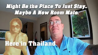 Might Be Just The Place To Stay in Thailand, With New Roommate.