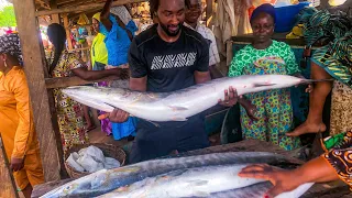 Insane Big Fish - Epe Fish And Bush Meat Market - Oluwo Market