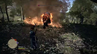 [Dragon's Dogma] Solo Mage Demonstration