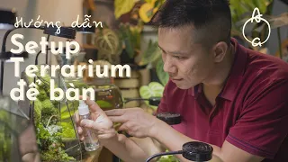 Cách mình làm những chiếc bể Terrarium cực kì đơn giản, đẹp mắt