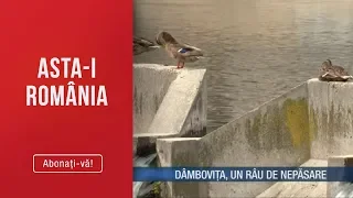 Asta-i Romania(21.07.2019)-Simbolul uitat, dezvoltat doar pe hartie! Dambovita, un rau de nepasare!