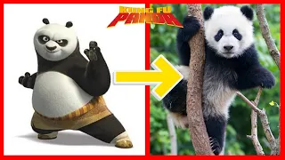 How Kung Fu Panda Looks Characters New In Real Life 2024